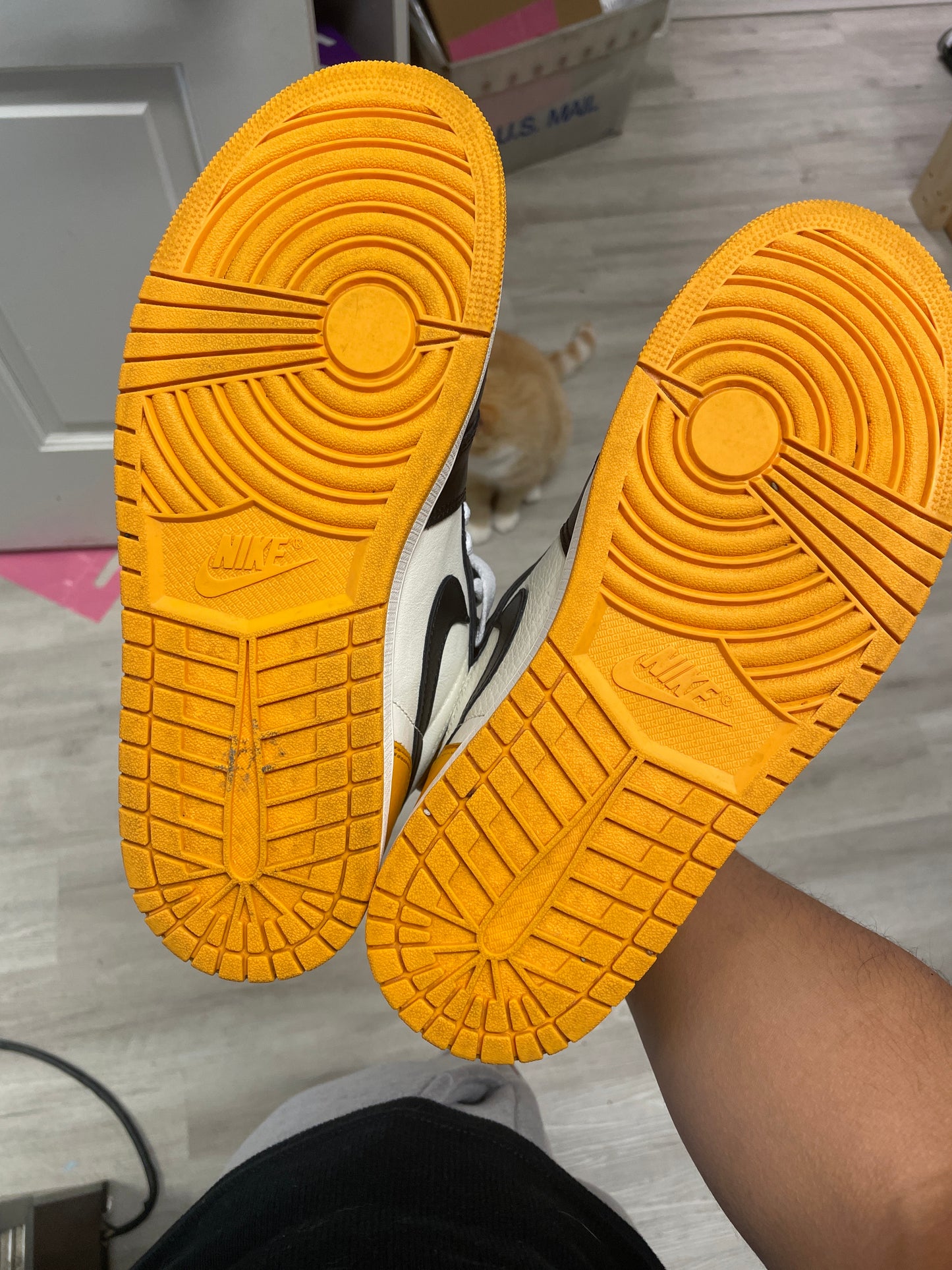 Size10 Jordan 1 High Taxi Pre Owned/W Box