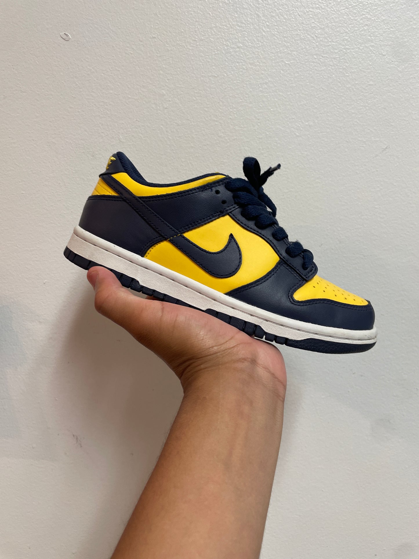 Size4 Nike Dunk Michigan Pre Owned/No Box
