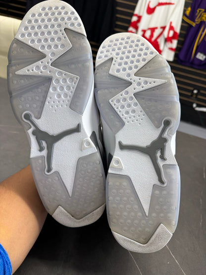 Jordan 6 Retro Cool Grey